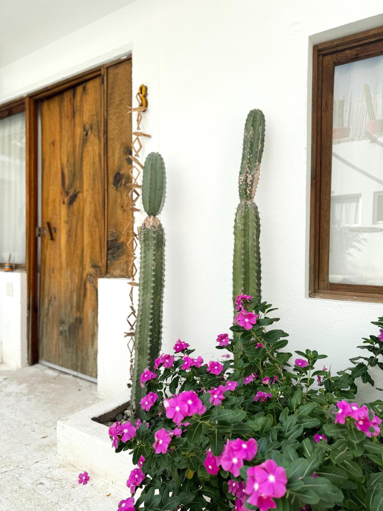 Hotel Casa Leone La Punta Brisas de Zicatela Zewnętrze zdjęcie